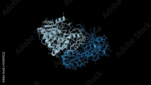 A rendering of a 3D molecular model of ricin - plant cytotoxin that can be used as a weapon in biological warfare and bioterrorism. It is composed of two chains: targeting moiety, and toxic portion.