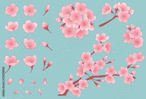 桜の花のイラストセット