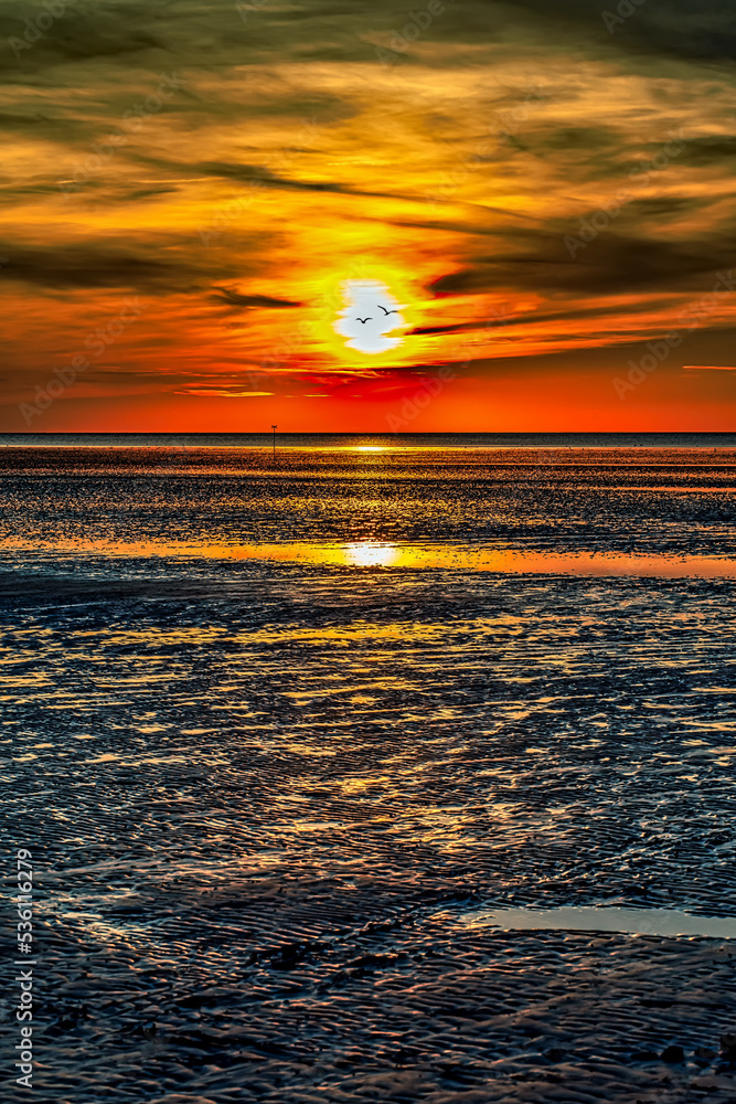 Naklejka premium Derr Tag geht