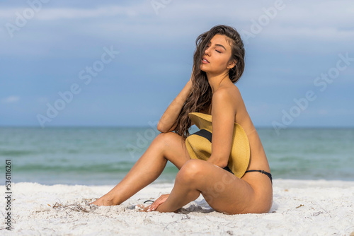 Lovely Mixed Race Bikini Model Posing Outdoors On A Caribbean Beach