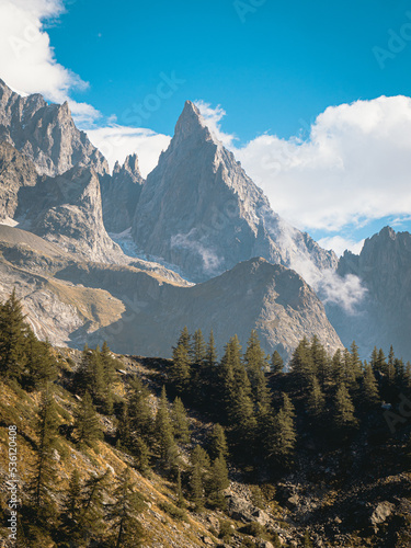 MONT BLANC 