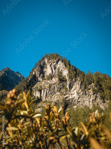 MONT BLANC