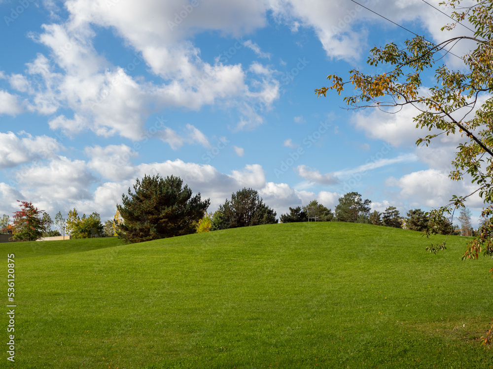 Beautiful colorful trees in the autumn park. Beautiful colorful trees in the autumn park.