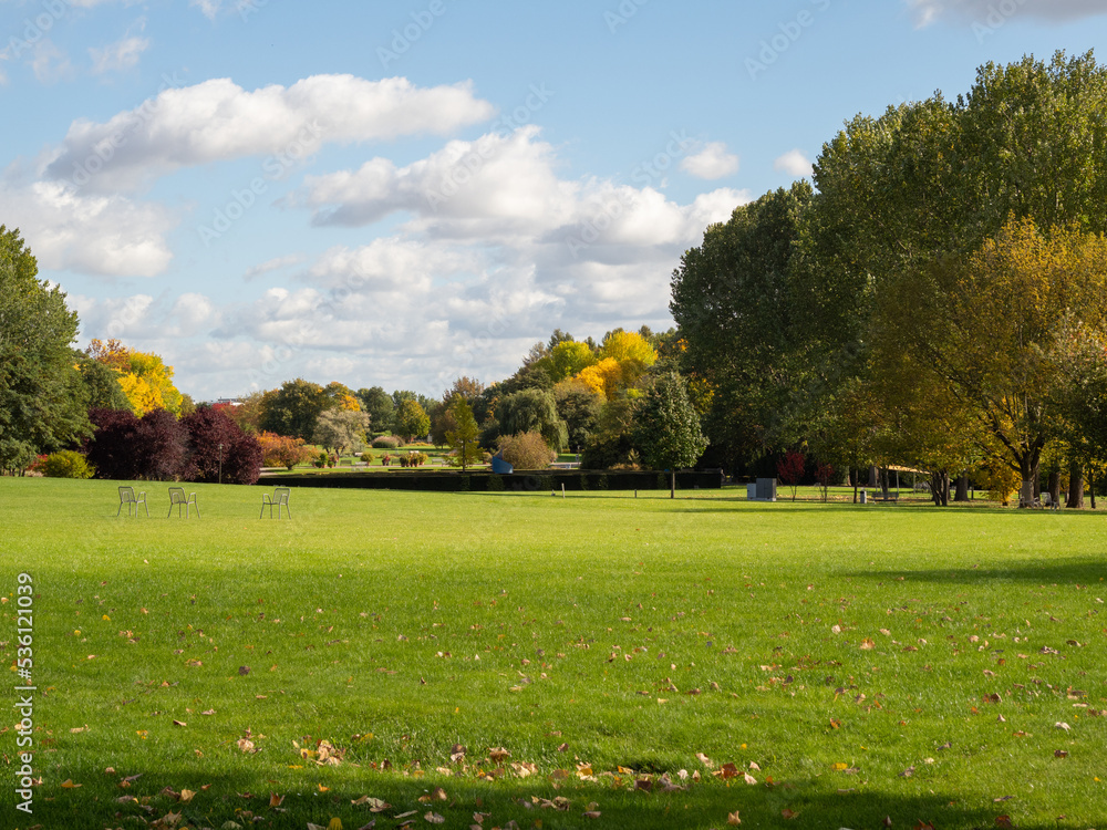 Beautiful colorful trees in the autumn park. Beautiful colorful trees in the autumn park.
