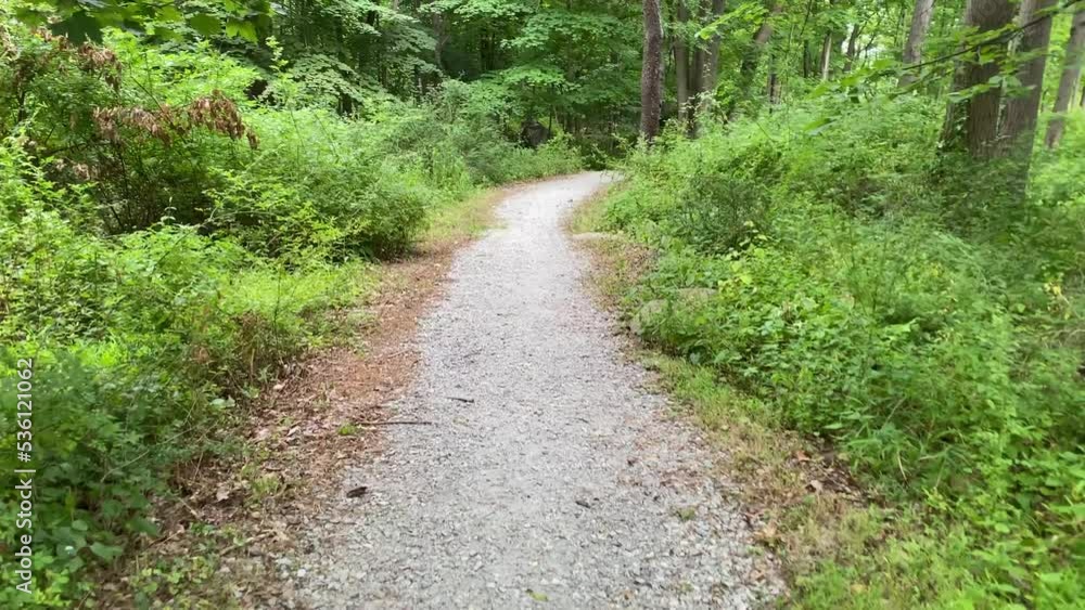 dirt and stone gravel pathway into twon park trees and bushes summer day dirt and stone gravel pathway into twon park trees and bushes summer day