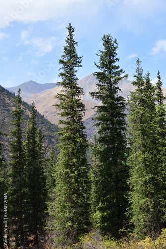 Ala Archa national park, Kyrgyzstan