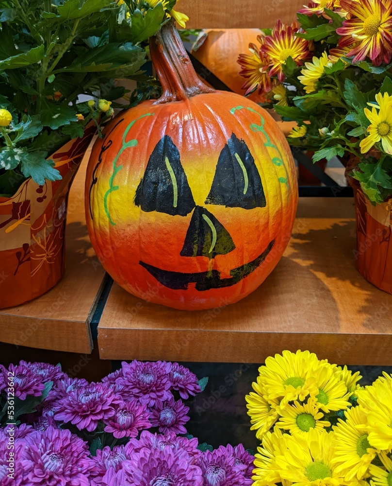 Obraz na plátně Pumpkin decoration
