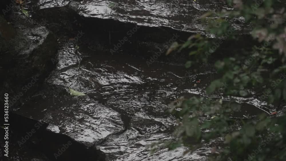 rain drop falling on rock in rainy day rain drop falling on rock in rainy day