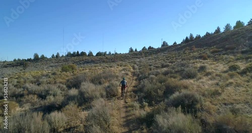 Aerial view of mountain biker riding a forest trail.