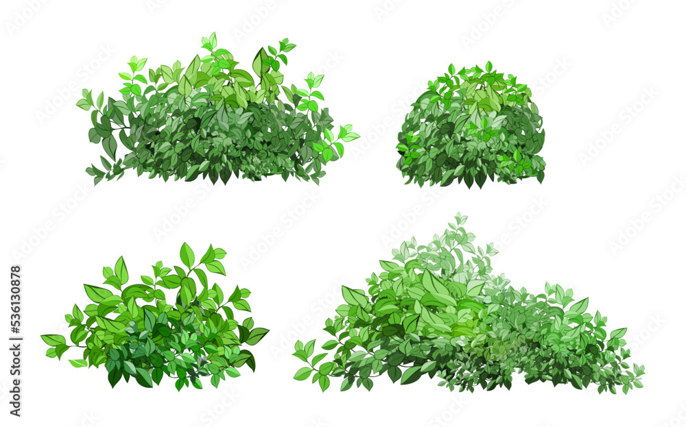 Ornamental green plant in the form of a hedge.Realistic garden shrub, seasonal bush, boxwood, tree crown bush foliage.For decorate of a park, a garden or a green fence. Ornamental green plant in the form of a hedge.Realistic garden shrub, seasonal bush, boxwood, tree crown bush foliage.For decorate of a park, a garden or a green fence.