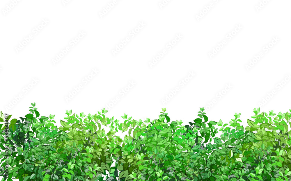 Ornamental green plant in the form of a hedge.Realistic garden shrub, seasonal bush, boxwood, tree crown bush foliage.For decorate of a park, a garden or a green fence. Ornamental green plant in the form of a hedge.Realistic garden shrub, seasonal bush, boxwood, tree crown bush foliage.For decorate of a park, a garden or a green fence.