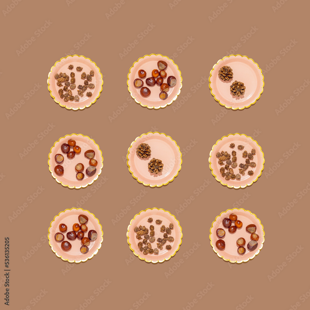 Retro autumn pattern. Pastel color plates with pine cones and chestnuts. Vintage aesthetic background. Retro autumn pattern. Pastel color plates with pine cones and chestnuts. Vintage aesthetic background.