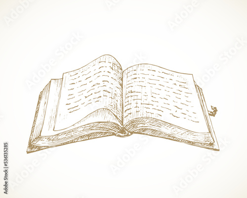 Cottagecore style open book. Hand Drawn Sketch Vector Illustration. Countryside Recreation and Picnic Reading Doodle Item Isolated