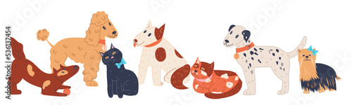 Pets domestic animals group, flat vector illustration isolated on white. Pets characters for vet shop and care products sale, veterinary cleaning. Grooming, feeding and keeping of animals.