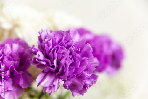 Still life of purple and white flowers