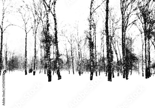 Birch forest landscape in cold winter day. Dotwork style snowy park with tree silhouettes.