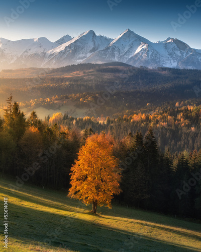 Autumn, a view of the snow-capped Tatra Mountains, a panorama of the mountain...