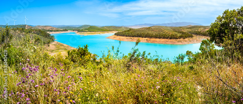 Panoramic view over the artificial lake Albufeira de Odeáxere in summer with thistle flowers and meadow in the foreground and green hills in the background in the area of Algarve in Portugal.
