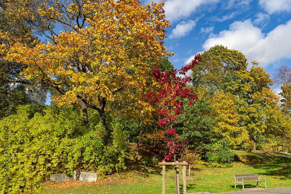 Beautiful autumn parks with fall color foliage with urban infrastructure in Riga. Latvia. Autumn landscape, autumn postcard. Beautiful autumn parks with fall color foliage with urban infrastructure in Riga. Latvia. Autumn landscape, autumn postcard.