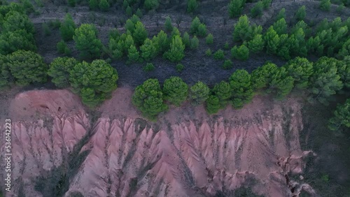 Eroded landscape and pine forests in the Cárcavas de Morata de Jiloca. Aerial view from a drone. Morata from Jiloca. Saragossa. Aragon. Spain. Europe photo