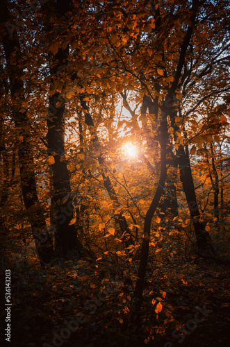 Lichtzeichen 