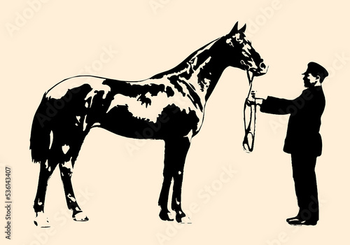 silhouette of a horse with broods of the beginning of the 20th century

