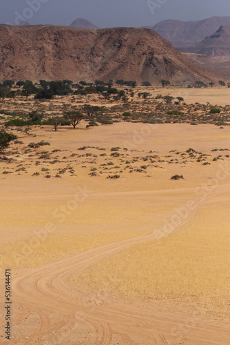Desert Tracks II