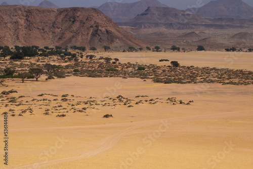 Desert tracks I 