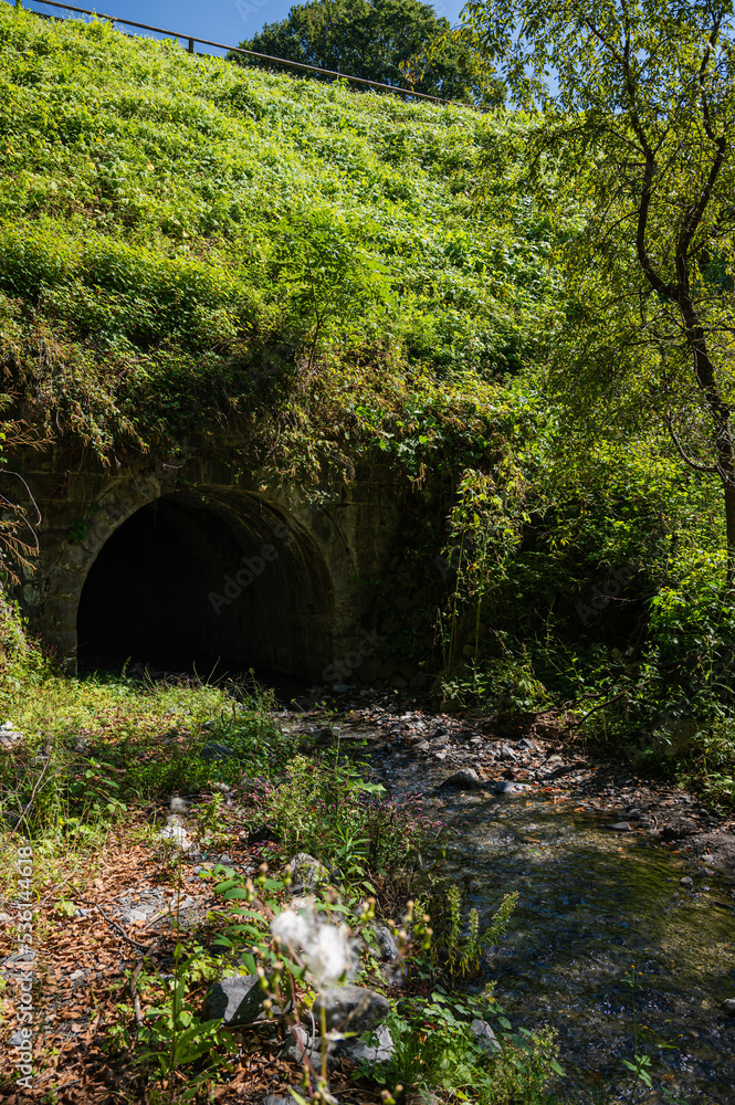 Fototapeta premium 文化遺産 北の沢の渡河橋