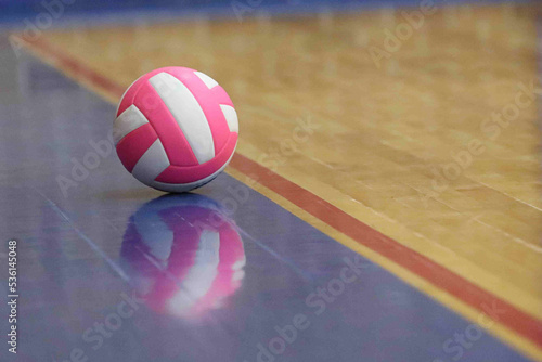 Pink Volleyball on Wood Gym Floor