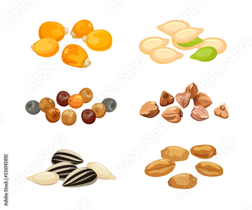 Plant seeds cartoon illustration set. Cereal grains, chickpeas, corn, pumpkin, sunflower seeds isolated on white background..Flat vector collection for agriculture, nutrition and healthy diet concept