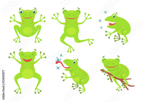 Cute frogs cartoon illustration set.. Funny green croaking toads and frogs jumping and catching flies isolated on white background. Flat vector collection for biology, nature and animals concept