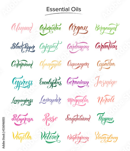 A set of hand-drawn names of 28 essential oils in different colors for labels, cosmetics, decoration. 