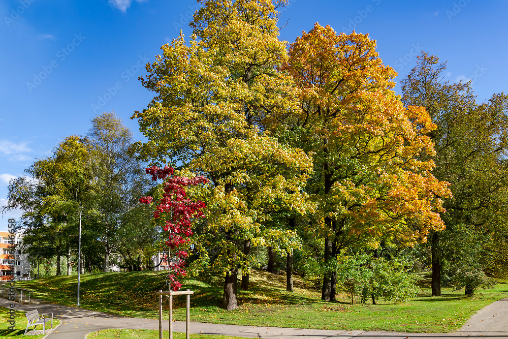 Naklejka premium Beautiful autumn parks with fall color foliage with urban infrastructure in Riga. Latvia. Autumn landscape, autumn postcard.