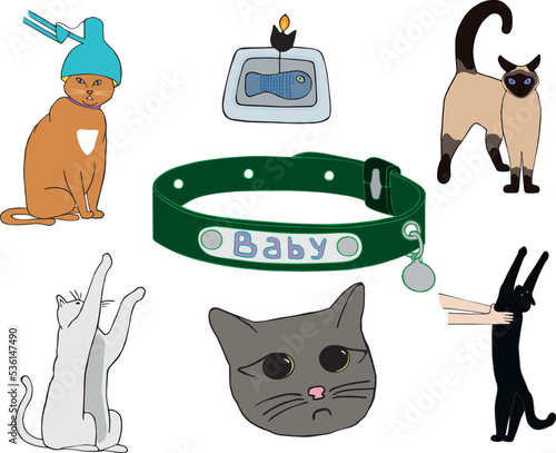 different types of cats. playing, strange, cat with a lamp, cat in hands, sad muzzle of a cat, cake, collar 