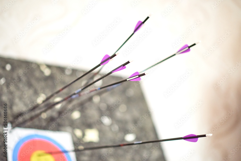 Carbon arrows 29 inches with purple plumage are stuck in a paper target and an isolon block catcher Carbon arrows 29 inches with purple plumage are stuck in a paper target and an isolon block catcher