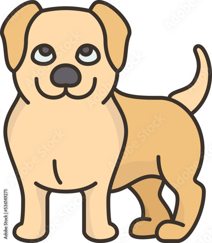 labrador  icon