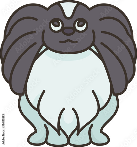 papillon  icon