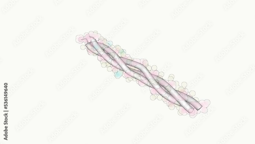 Scientifically accurate 3D model of a collagen triple helix molecule. Collagen is the main structural protein in the extracellular matrix found in the body's various connective tissues. Scientifically accurate 3D model of a collagen triple helix molecule. Collagen is the main structural protein in the extracellular matrix found in the body's various connective tissues.