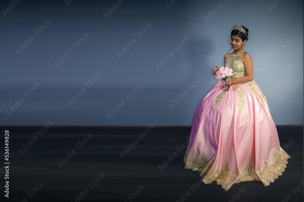 Beautiful woman in dress - princess pink costume. blur background with space for text
