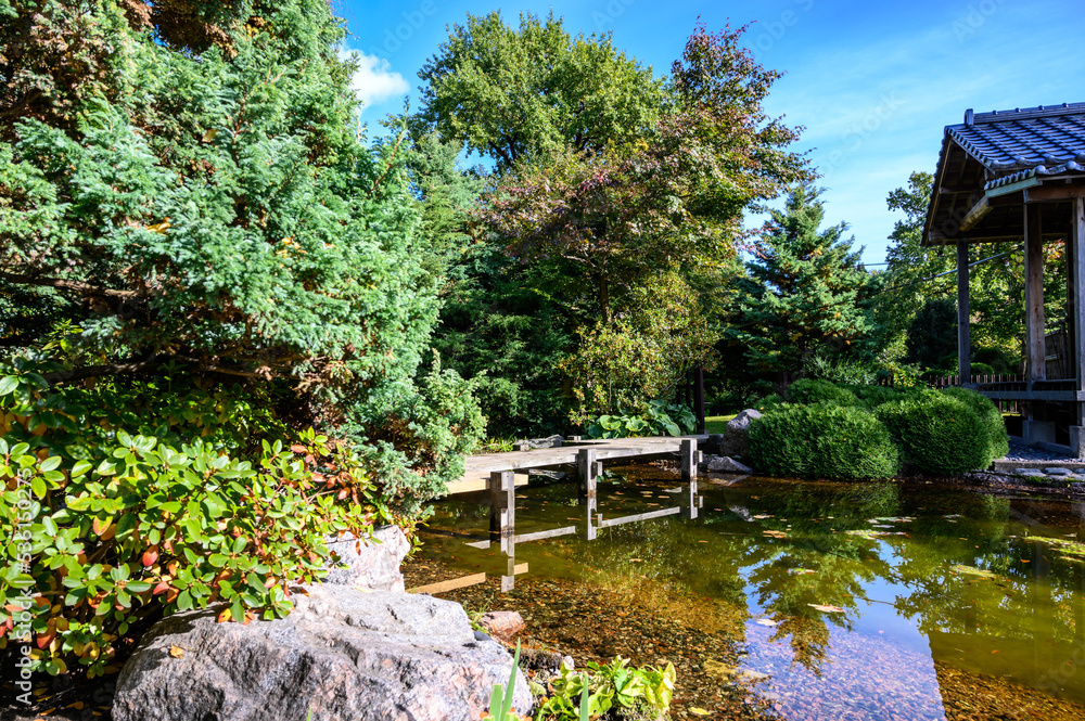 Fototapeta premium Japanese Garden. botanical park in early autumn. Sunny Autumn Day