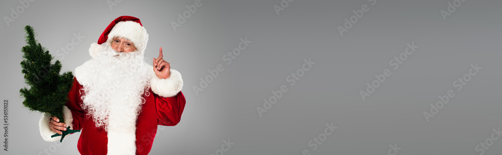 Santa claus having idea and holding small pine tree isolated on grey, banner.