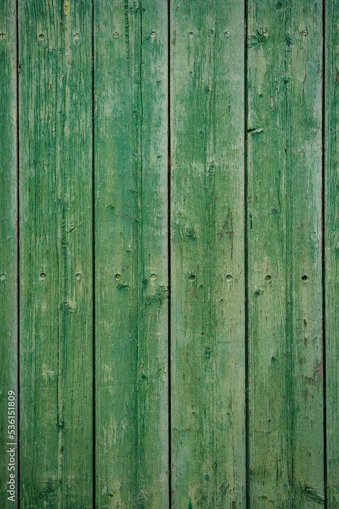 Fototapeta premium Wooden background texture surface. Rustic green Weathered Wood 