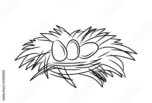 Nest with eggs hand draw vector illustration
