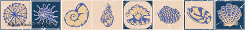 set of hand-drawn vector seashells in vintage style. Stylized tile tiles with a nautical theme. Ocean dwellers in cobalt pink colors.