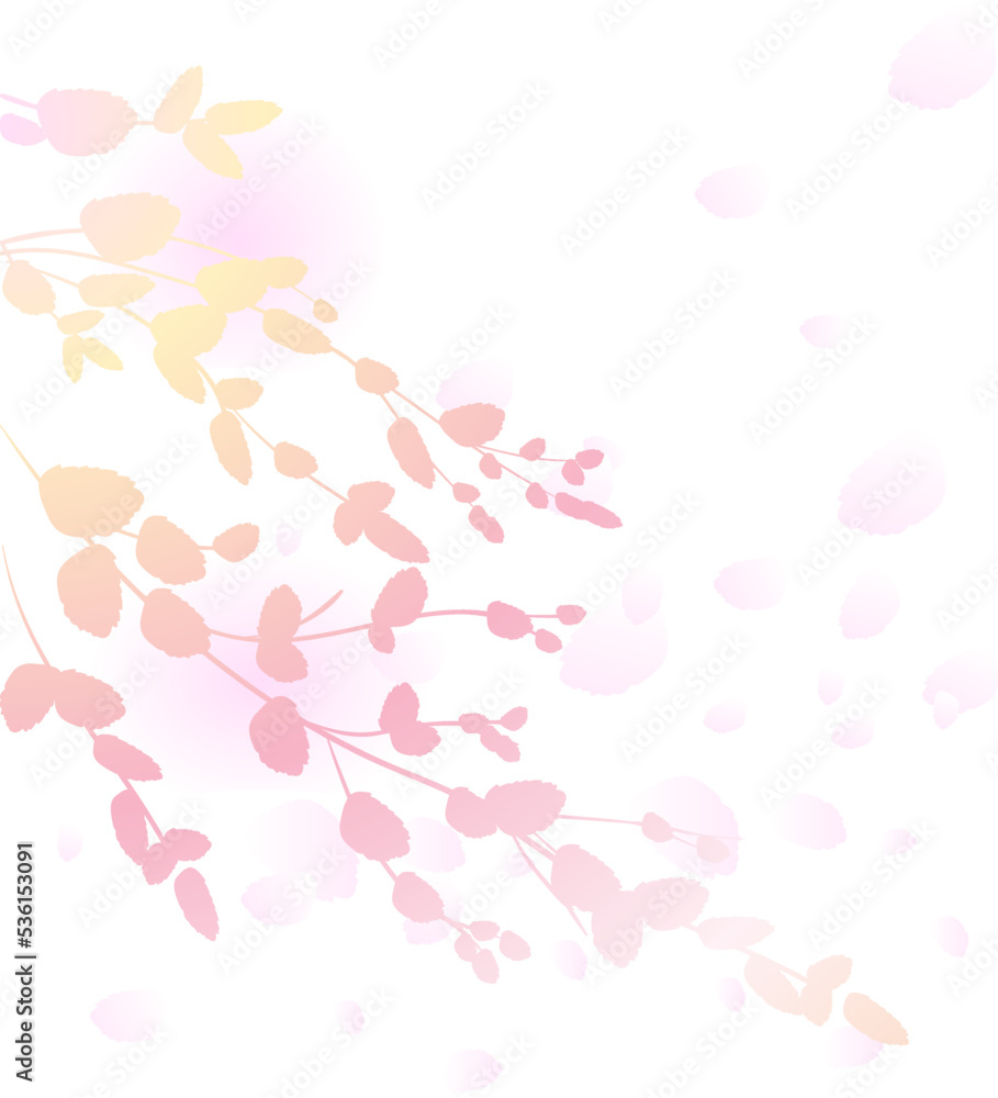 pink branches with rose petals on a white background for valentine's day