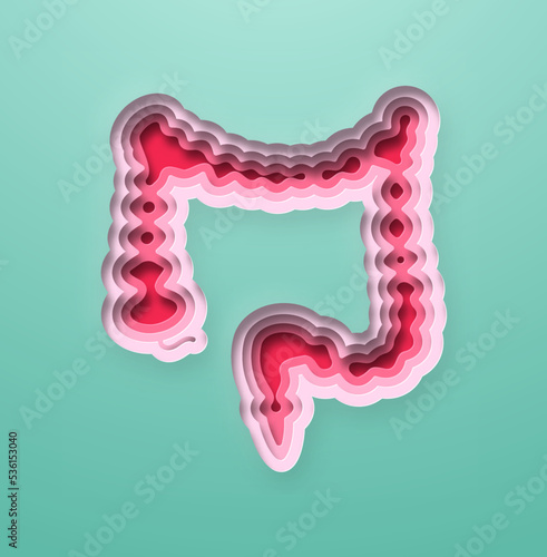Realistic 3D paper cut human large intestine illustration. Layered colorful digestive system organ for medicine project. Bowel movement, colon disease or gastrointestinal health concept.