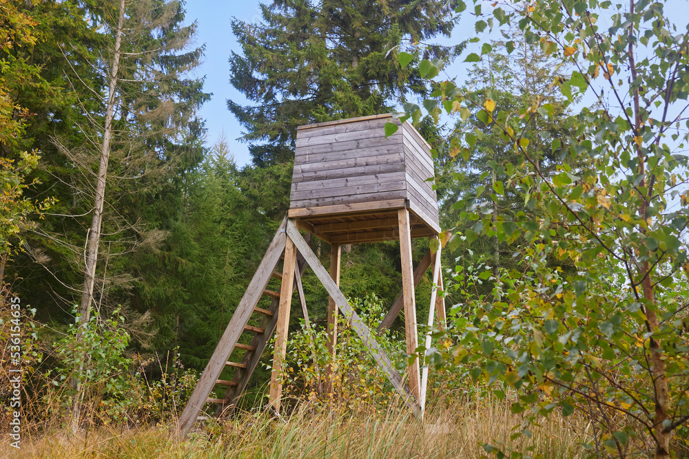 Tower for hunters in the forest in Denmark Tower for hunters in the forest in Denmark