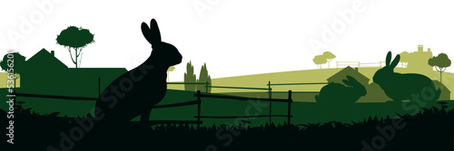 Rabbits are grazing. Picture silhouette. Rural landscape with farmers house. Farm pets. Fur animals. Isolated on white background. Vector