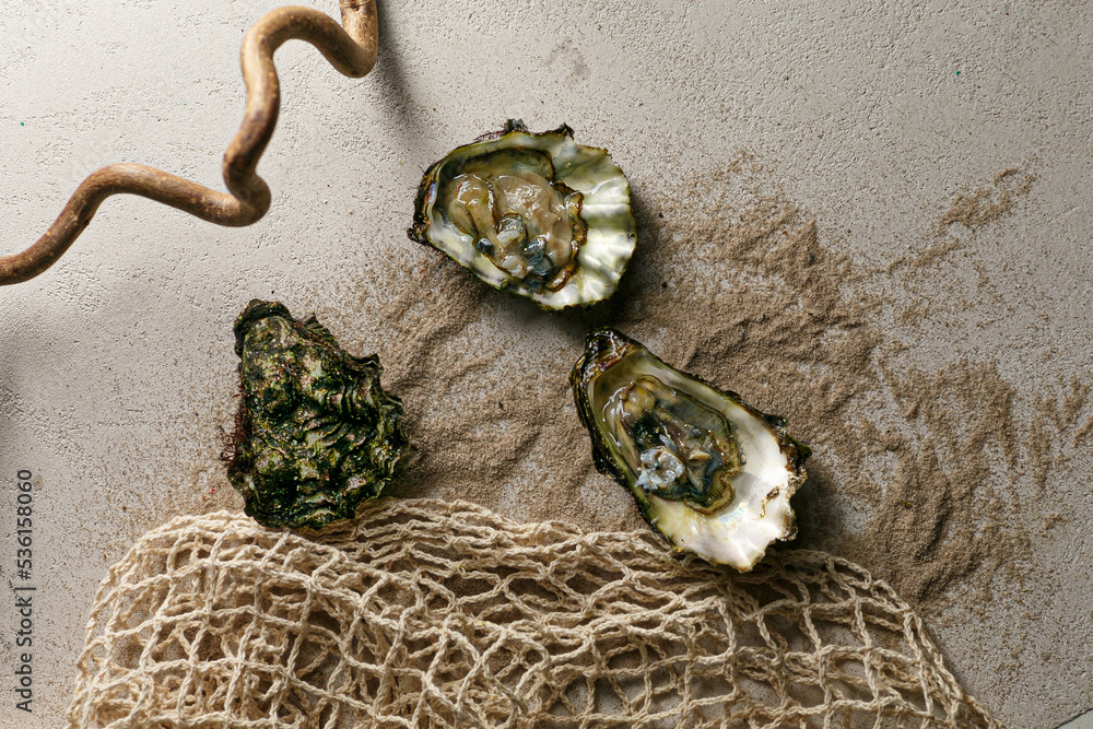 closed oysters, fresh oyster shell, mollusks in seafood market, aphrodisiac sea restaurant, expensive fresh food, dish menu
